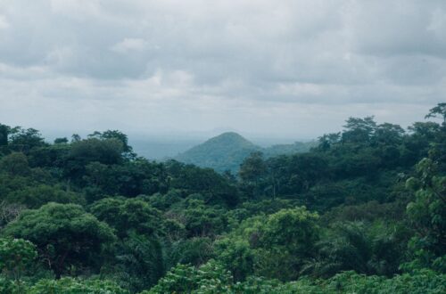 Penemuan Terowongan Rahasia di Perbatasan Polandia-Belarus, 180 Imigran Gelap Berhasil Menyusup