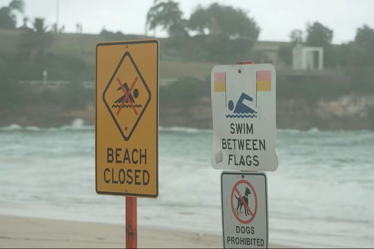 Tragedi Awal Tahun di Australia: Gelombang Ganas Merenggut Nyawa, Sejumlah Pantai di Sydney Ditutup
